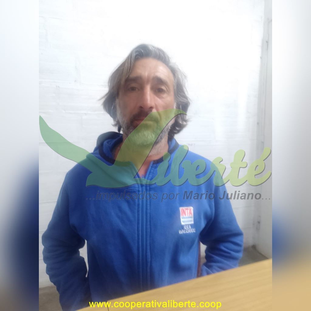 Proyecto Educativo Universitario Liberté: Un Espacio de Creación y Conocimiento