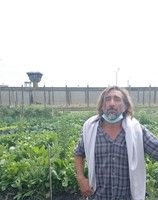 Invernáculo de grandes dimensiones en Liberté