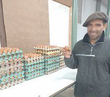 Interesante producción avícola orgánica en cooperativa Liberté