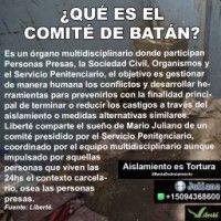¿QUÉ ES EL COMITÉ DE BATÁN?
