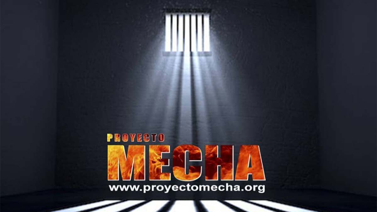 proyectomecha