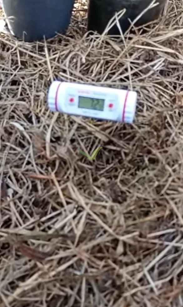 Siete coma dos grados a la altura del trasplante. Para sembrar las especies de primavera y verano harían falta catorce: el número es el que decide qué entra hoy al cantero y qué no.
