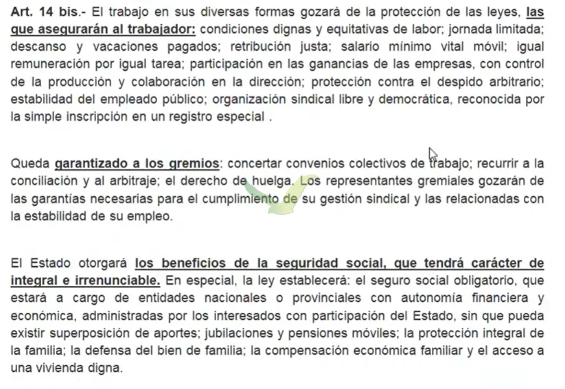 Texto del Artículo 14 bis de la Constitución Nacional, compartido en pantalla durante la clase