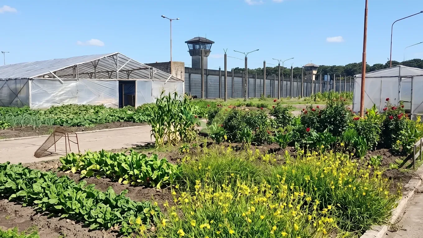 Aberta a inscrição para a Diplomatura Cultivando Soberanía 2026