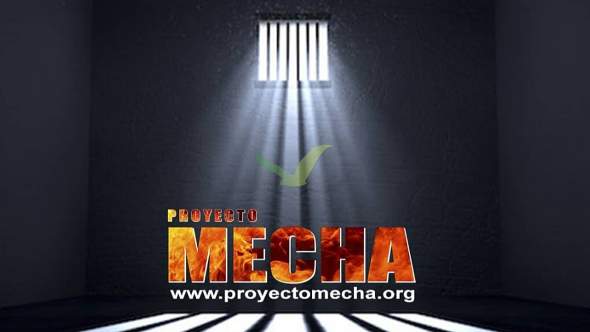 Proyecto Mecha cierra: los buzones de Batán fueron abolidos